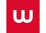 Webstar Media Group Michał Blus