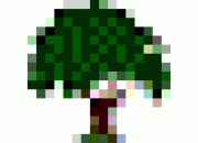 Basto Bartnicki Dariusz