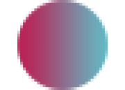 Bora Sp. z&nbsp;o.o.