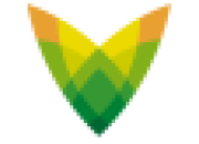 Nova Power Małgorzata Sierpowska