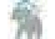 Soprema Polska Sp. z&nbsp;o.o.