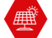 Sun Blast Ogórczak Alicja