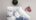 Google Places Photo 4