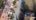 Google Places Photo 4